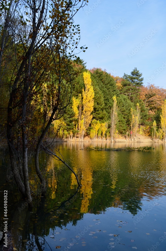 Lake in the mountains surrounded by the autumn forest. Water landscape.