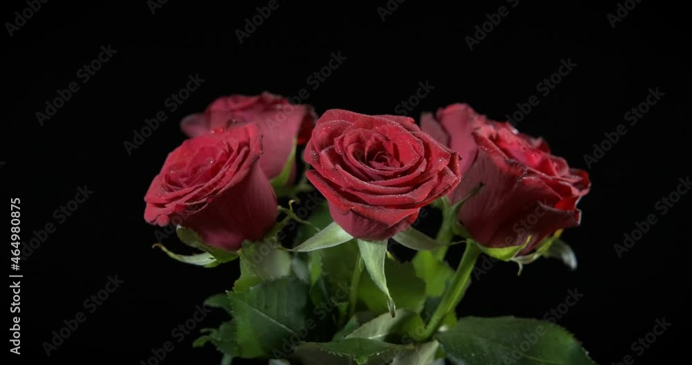 Love time with roses. A lovely roses bouquet in the glass on the table. Love time with roses. A lovely roses bouquet in the glass on the table.