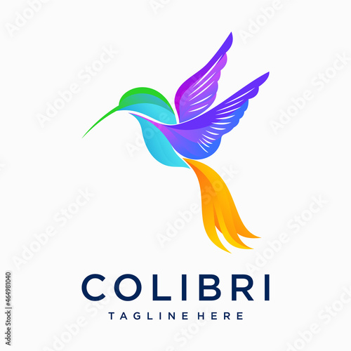 hummingbird logo vector