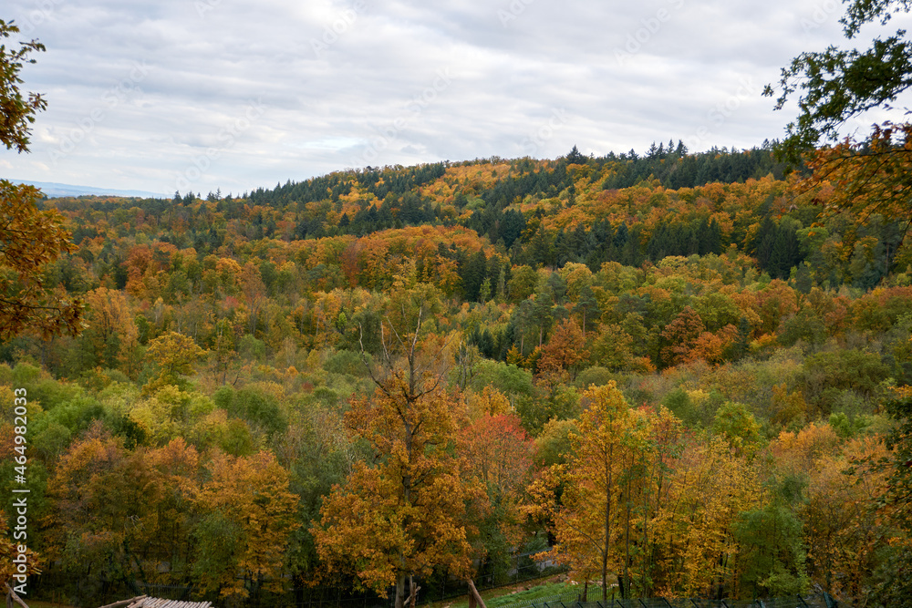 beautiful autumn panorama landscape with autumn trees 