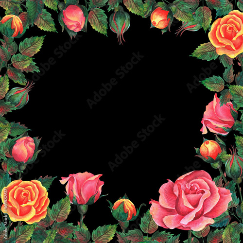 Wallpaper Mural festive roses. Watercolor and colored pencil illustration Torontodigital.ca