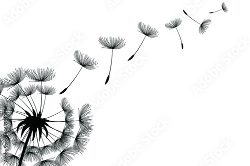 Flying dandelion seeds  vector icon. Vector isolated decoration element from scattered silhouettes