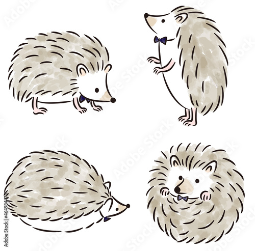 ハリネズミの水彩調ベクターイラスト