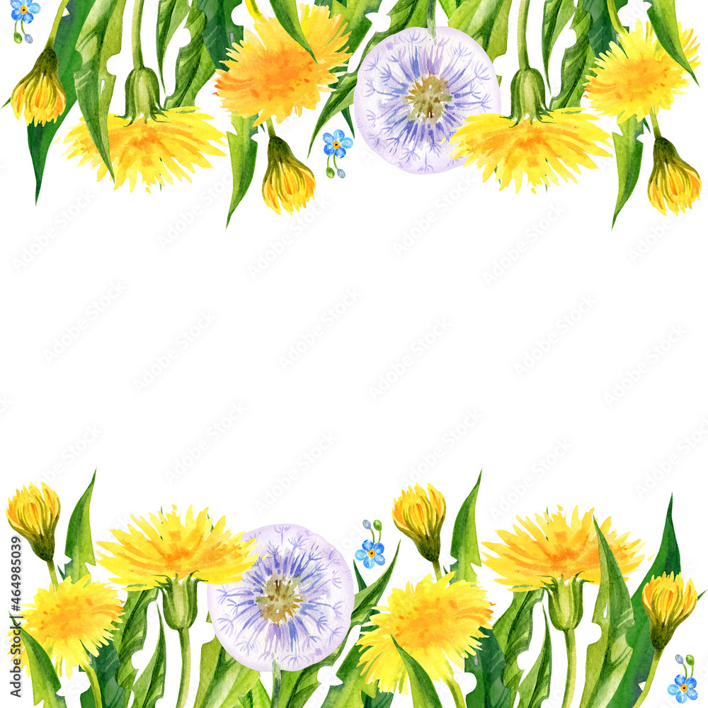 flowers border, hand draw watercolour summer dandelions, herbs, butterfly, white background, yellow flowers for textil, card, wedding design flowers border, hand draw watercolour summer dandelions, herbs, butterfly, white background, yellow flowers for textil, card, wedding design