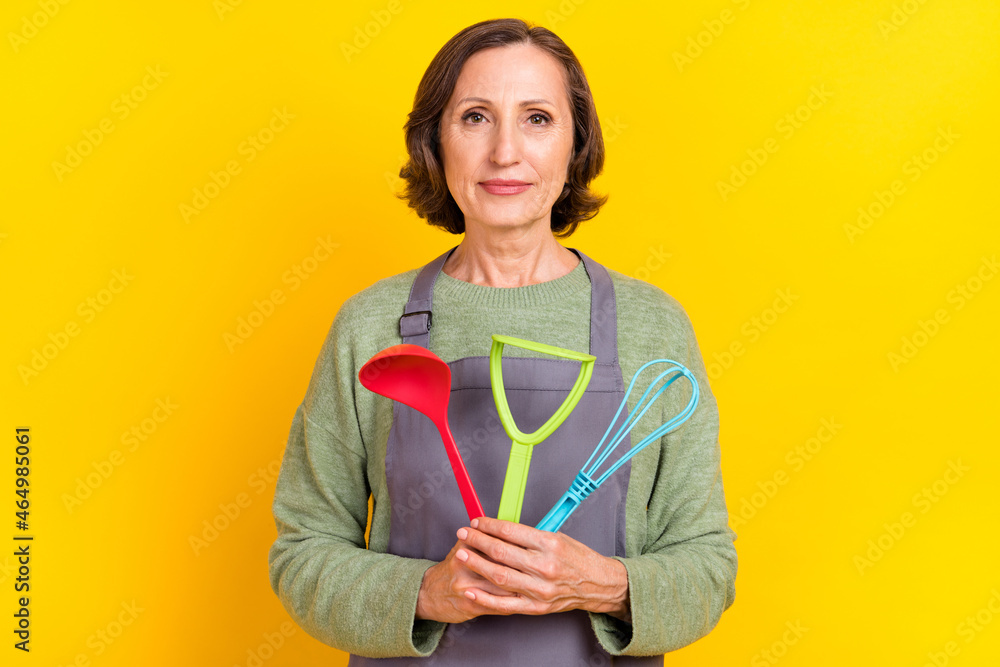 Portrait of attractive skilled woman housewife holding kitchenware domestic cuisine isolated over vivid yellow color background Portrait of attractive skilled woman housewife holding kitchenware domestic cuisine isolated over vivid yellow color background