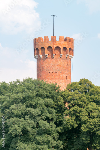 Tower over trees. Tower of Teutonic Castle, partial ruin located in Swiecie in Poland. photo