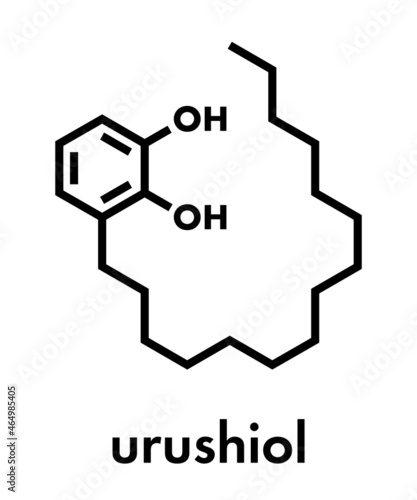 Urushiol poison ivy allergen molecule. Also present in poison oak, lacquer tree and poison sumac. Urushiol is a mixture of closely related components, only one of which is shown. Skeletal formula.