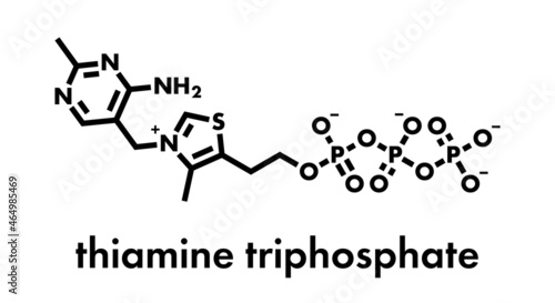 Thiamine triphosphate molecule. Skeletal formula.