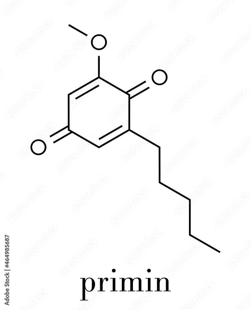 Primin primrose plant allergen molecule. Skeletal formula. Primin primrose plant allergen molecule. Skeletal formula.