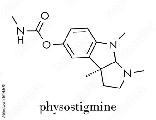 Physostigmine alkaloid molecule. Present in calabar bean and manchineel tree, acts as acetylcholinesterase inhibitor. Skeletal formula. photo