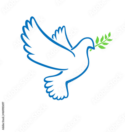 beautiful white peace dove outline