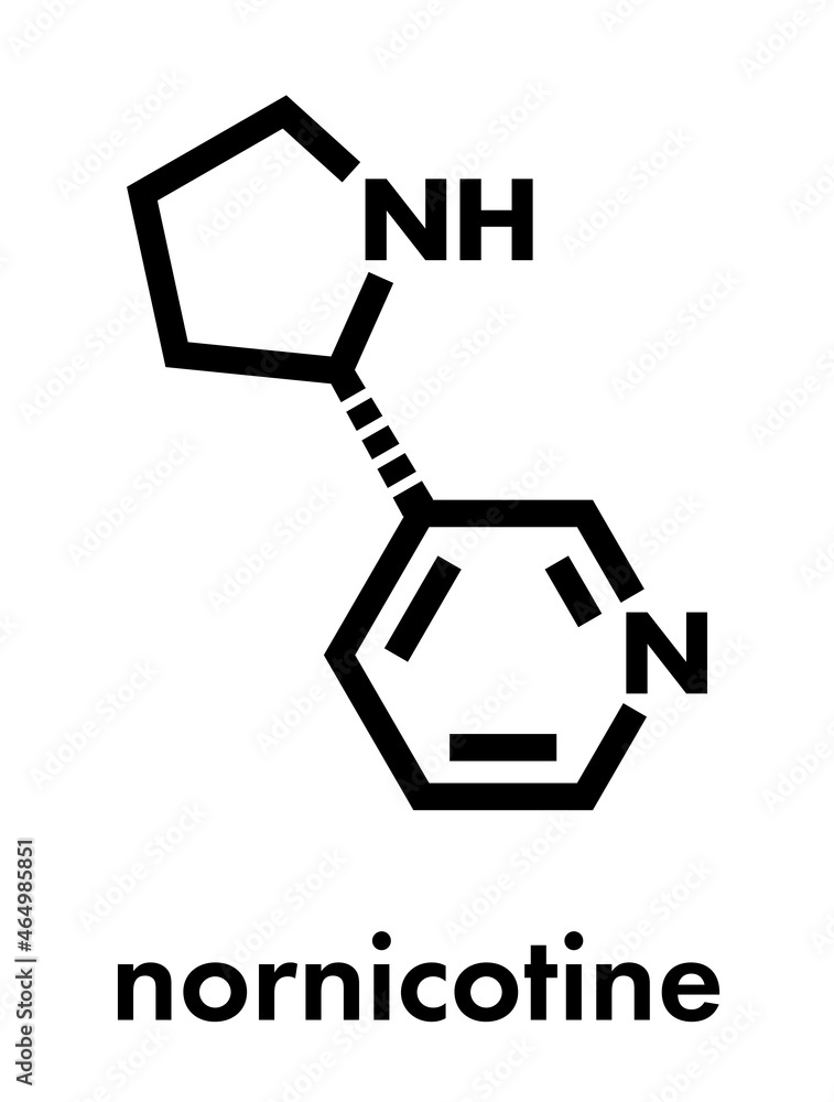 Nornicotine alkaloid molecule. Related to nicotine and also found in Nicotiana plants. Skeletal formula. Nornicotine alkaloid molecule. Related to nicotine and also found in Nicotiana plants. Skeletal formula.