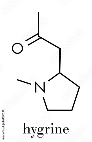 Hygrine coca alkaloid molecule. Skeletal formula.