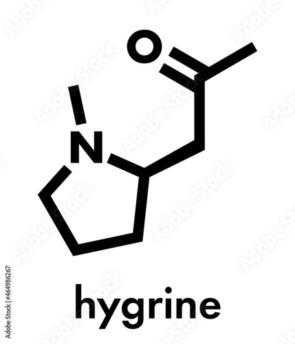 Hygrine coca alkaloid molecule. Skeletal formula.