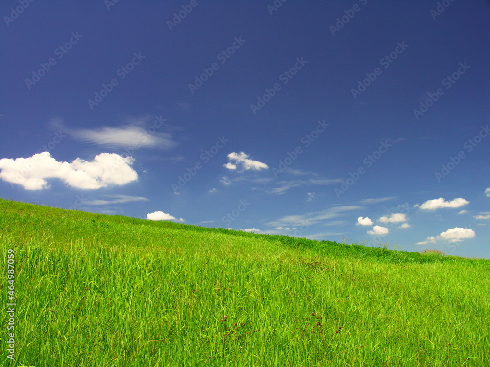 真夏の江戸川土手風景 真夏の江戸川土手風景
