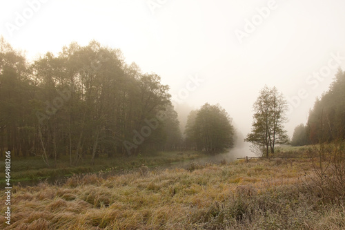 Fototapeta Naklejka Na Ścianę i Meble -  Jesień