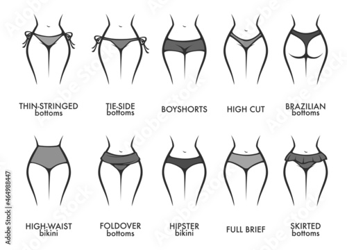 Woman panties models and types of clothes vector