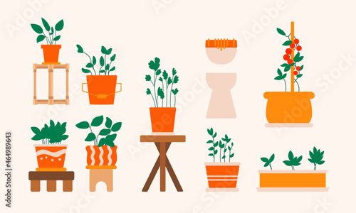 Illustration of potted house plants collection