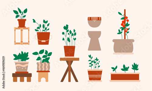 Illustration of potted house plants collection