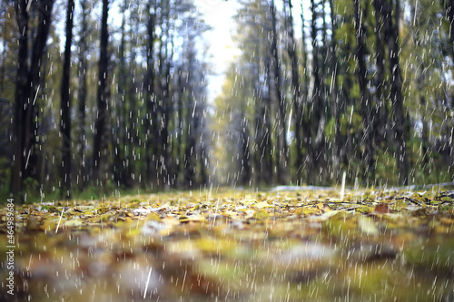 Εκτύπωση καμβά bad weather rain wind, autumn concept background