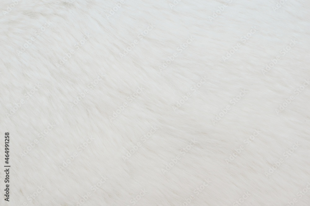 abstract close-up white fur background texture abstract close-up white fur background texture