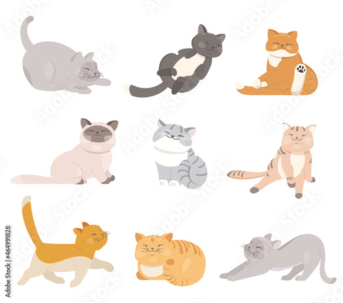 Funny cartoon cats in different colors and poses. Flat vector illustration