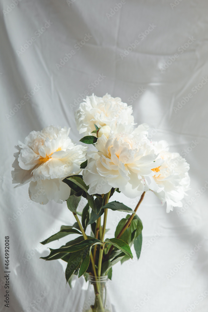 bouquet of peonies flowers bouquet of peonies flowers