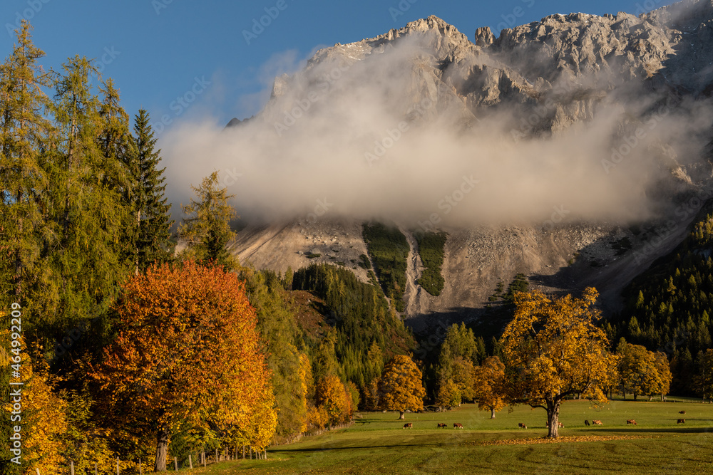 Fototapeta premium autumn morning
