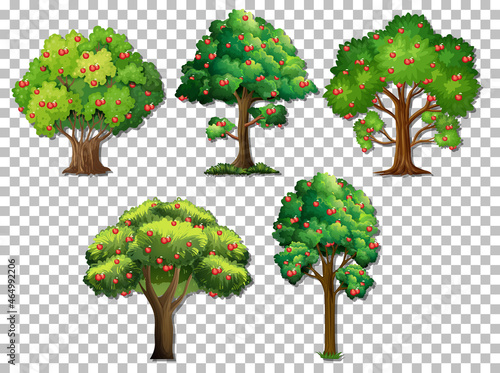 Set of different trees on transparent background