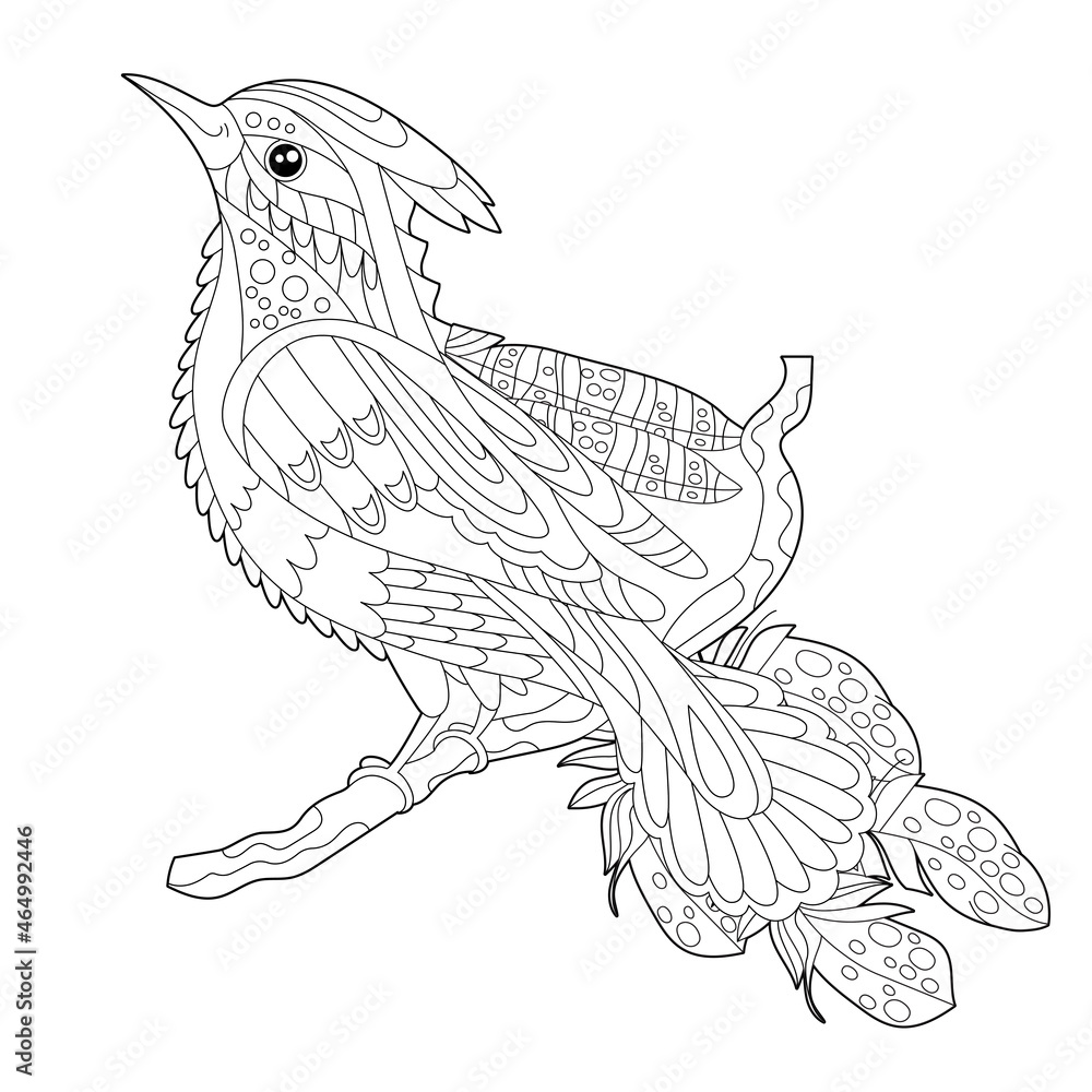 Fototapeta premium Cute beautiful bird with long tail. Black and white background. Funny creature, coloring book pages. Hand drawn illustration in zentangle style for children and adults, tattoo.