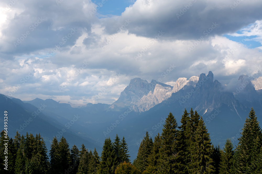 Sunny day on dolomites, woods and pale di san martino