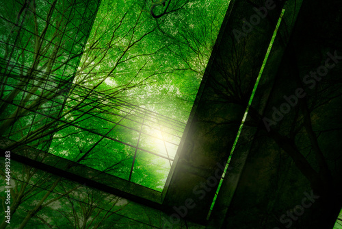 Eco-friendly building in the modern city. Green tree branches with leaves and sustainable glass building for reducing heat and carbon dioxide. Office building with green environment. Go green concept.