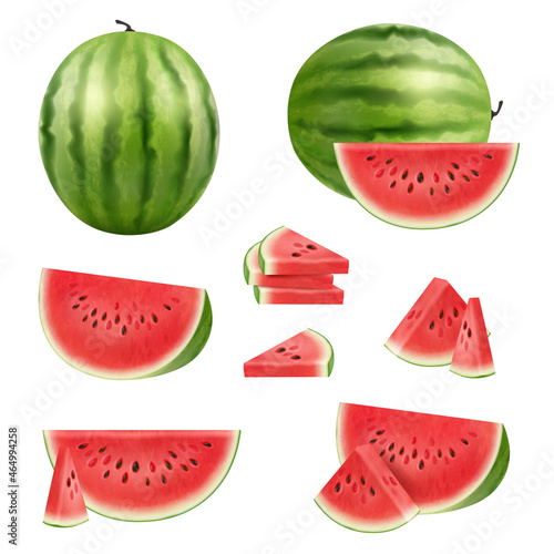 Watermelon slices. Healthy natural products big delicious berry collection decent vector pictures realistic set