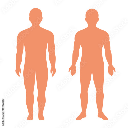 Human body silhouette, standing man vector illustration