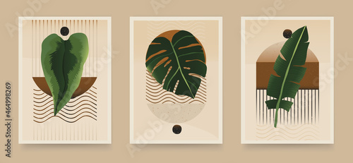 Set of trendy boho abstract botanical illustrations. Modern style wall decor. Collection of contemporary artistic posters.