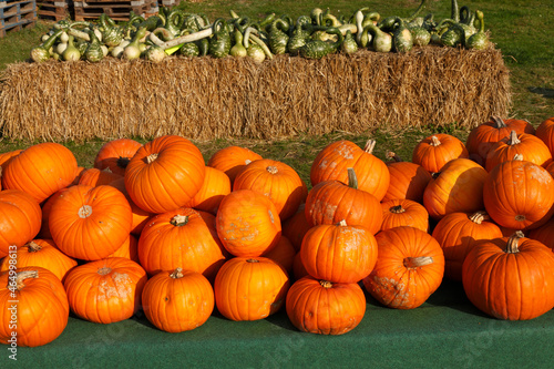 vrious types of decorative pumpkins; photo