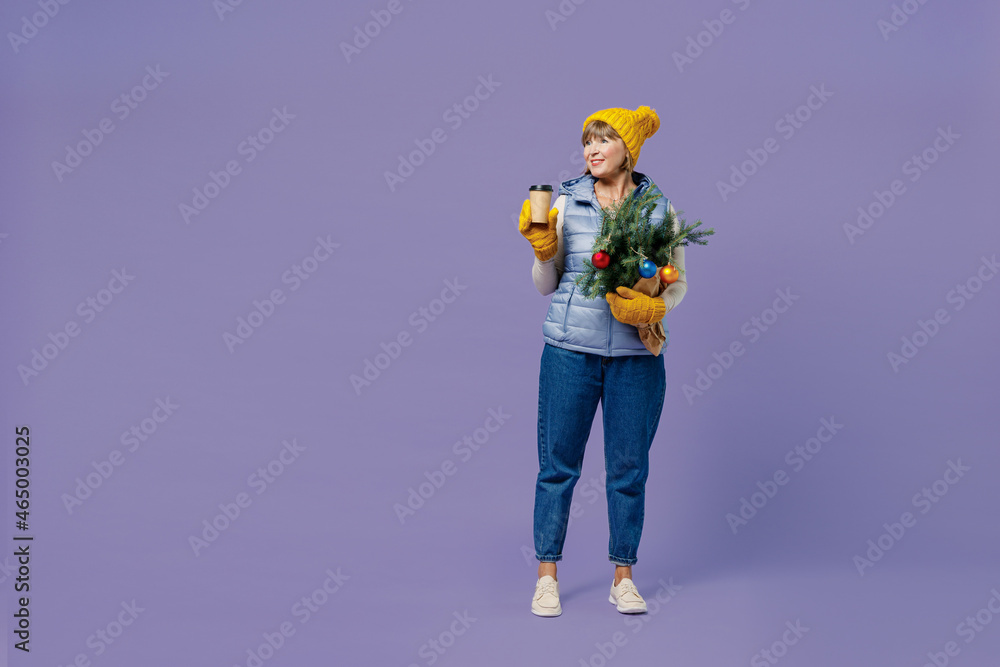 Full size body length mature elderly woman 55 years old wears blue waistcoat yellow hat mittens holds spruce branches craft paper cup isolated on plain pastel light violet background studio portrait. Full size body length mature elderly woman 55 years old wears blue waistcoat yellow hat mittens holds spruce branches craft paper cup isolated on plain pastel light violet background studio portrait.