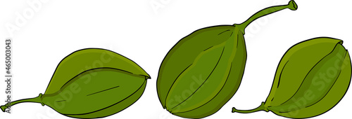 Capers color flat icon. Ripe green vegetable. Vegetarian delicious. Eco organic food.