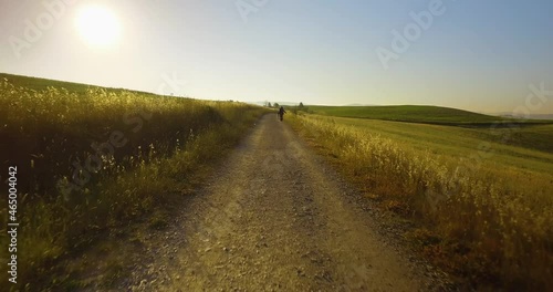 man running in an off road pathway. High tree on path side. Car moving in off road during sunset in Tuscany photo