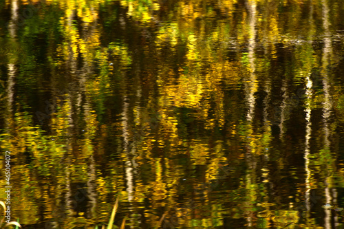 Herbstlaub spiegelt sich in Teich