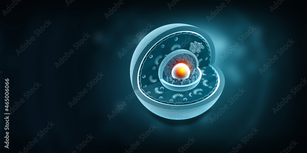 Cell Structure on blue background. 3d illustration.