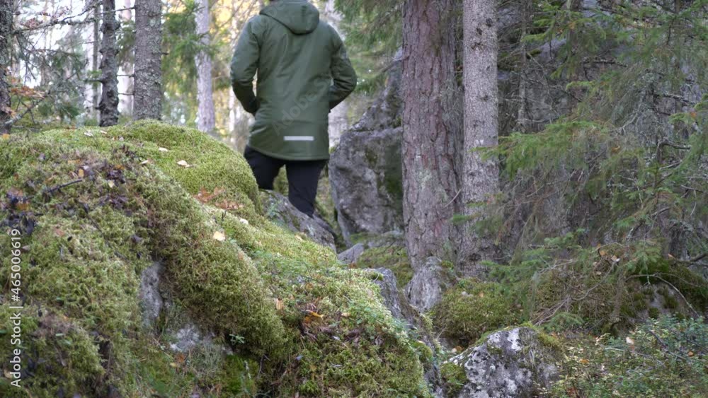Back view of man with waterproof green jacket and hat walking in wild Scandinavian landscape Back view of man with waterproof green jacket and hat walking in wild Scandinavian landscape