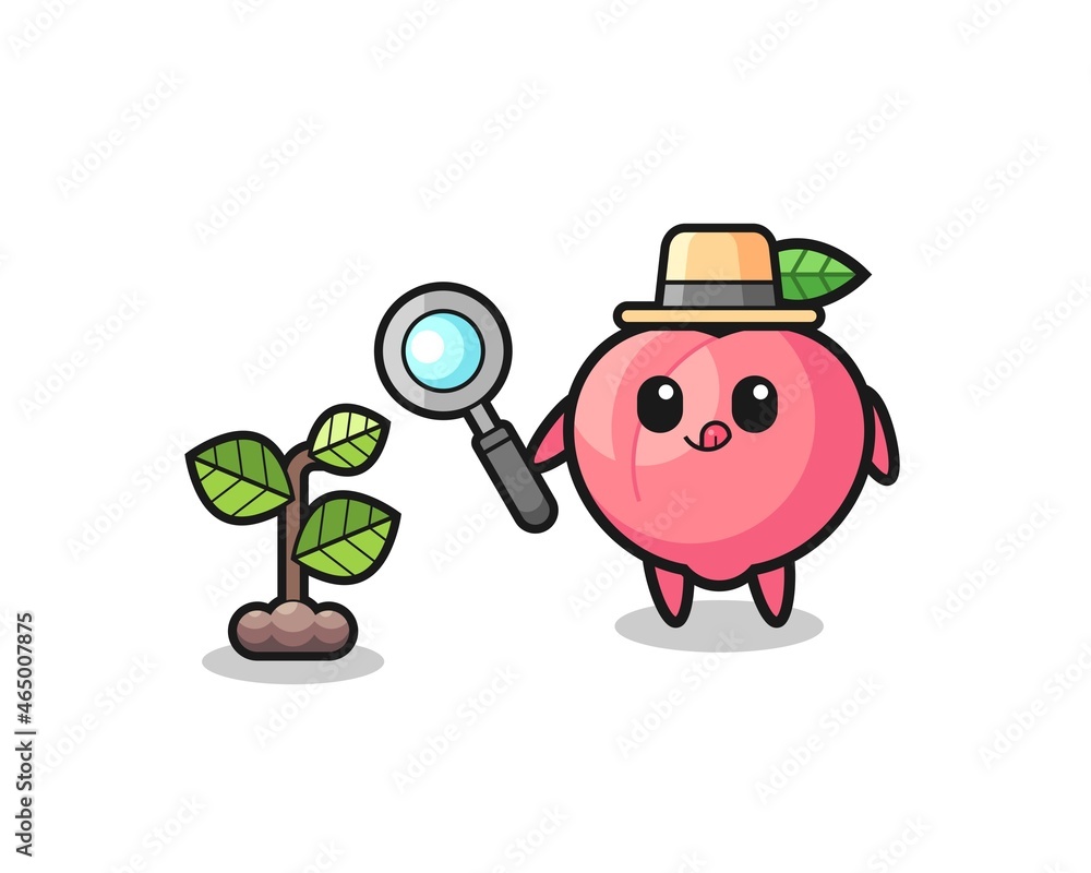 Fototapeta premium cute peach herbalist researching a plants