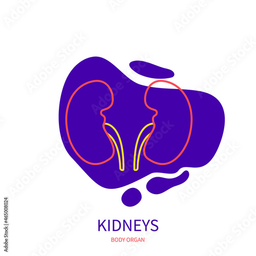 Kidneys urinary system body organ outline icon on abstract geometric splash. Human anatomy medical symbol. Vector illustration.