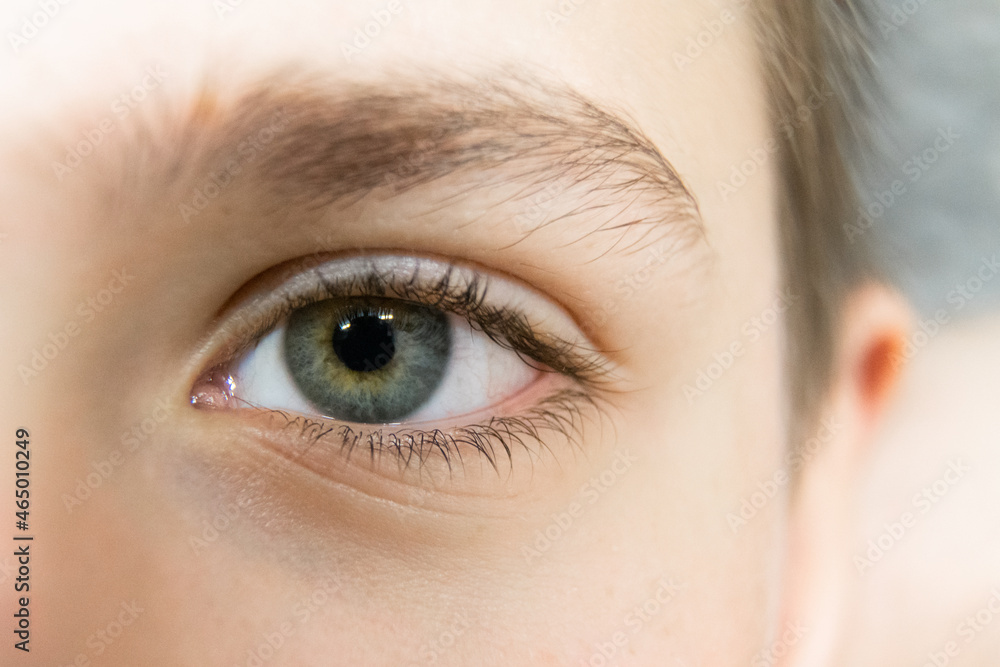 Fototapeta premium Close-up of the bluish-green eyes of a teenager. A young man with a light skin color has beautiful eyes. Selective focus.
