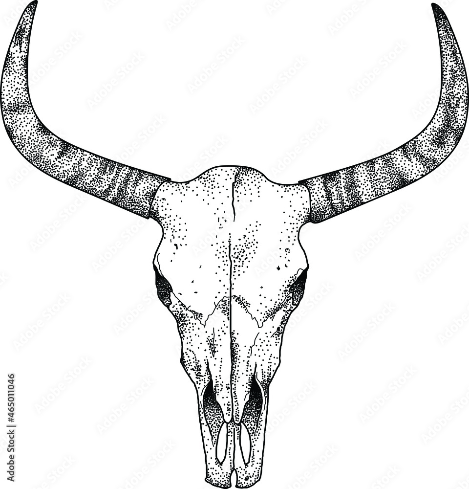 Creepy bull skull design Creepy bull skull design