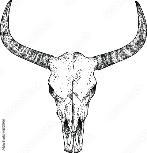 Creepy bull skull design 