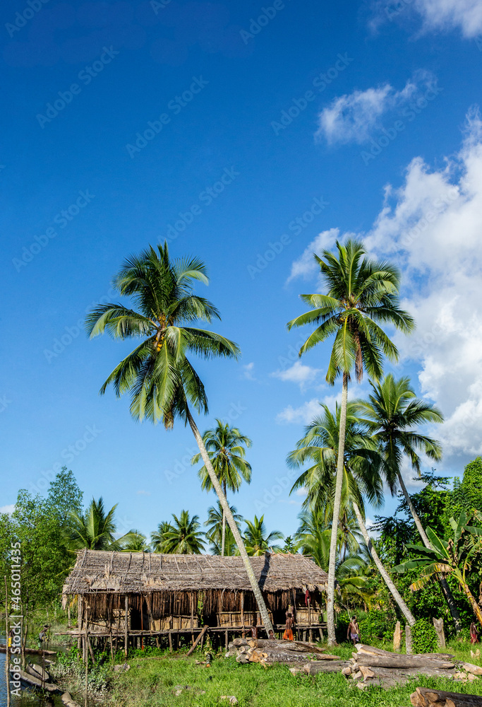 Men's house in the traditional village of Asmat tribe on the river. Men's house in the traditional village of Asmat tribe on the river.