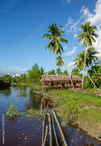 Men's house in the traditional village of Asmat tribe on the river.