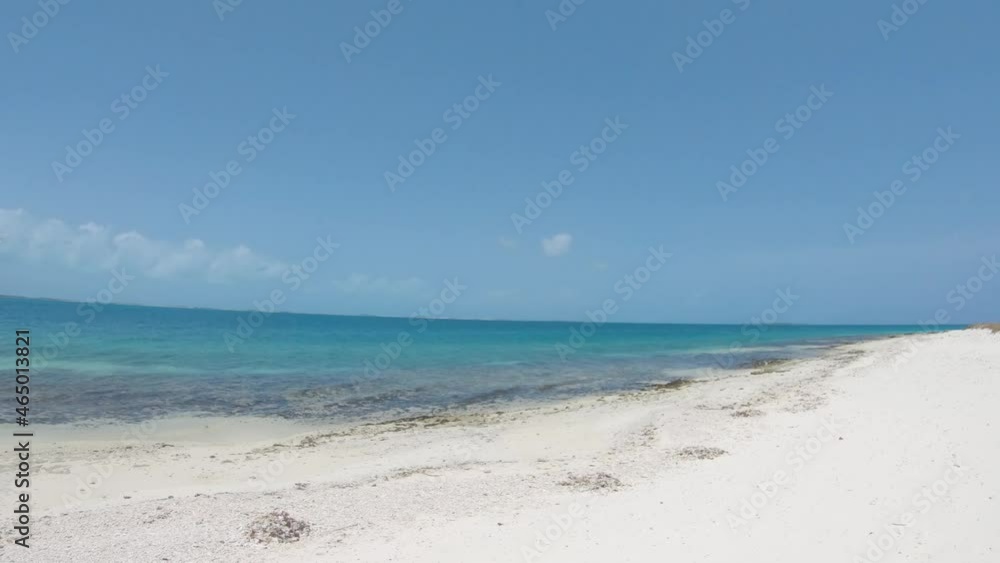 palm tree in the Caribbean tropical island with white sand and Turquoise water. Pan Left palm tree in the Caribbean tropical island with white sand and Turquoise water. Pan Left